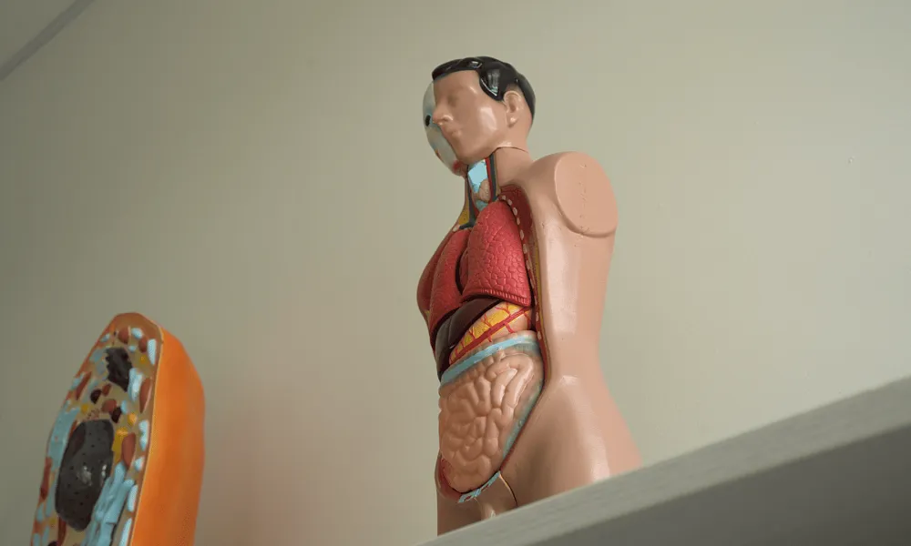 Кабинет биологии