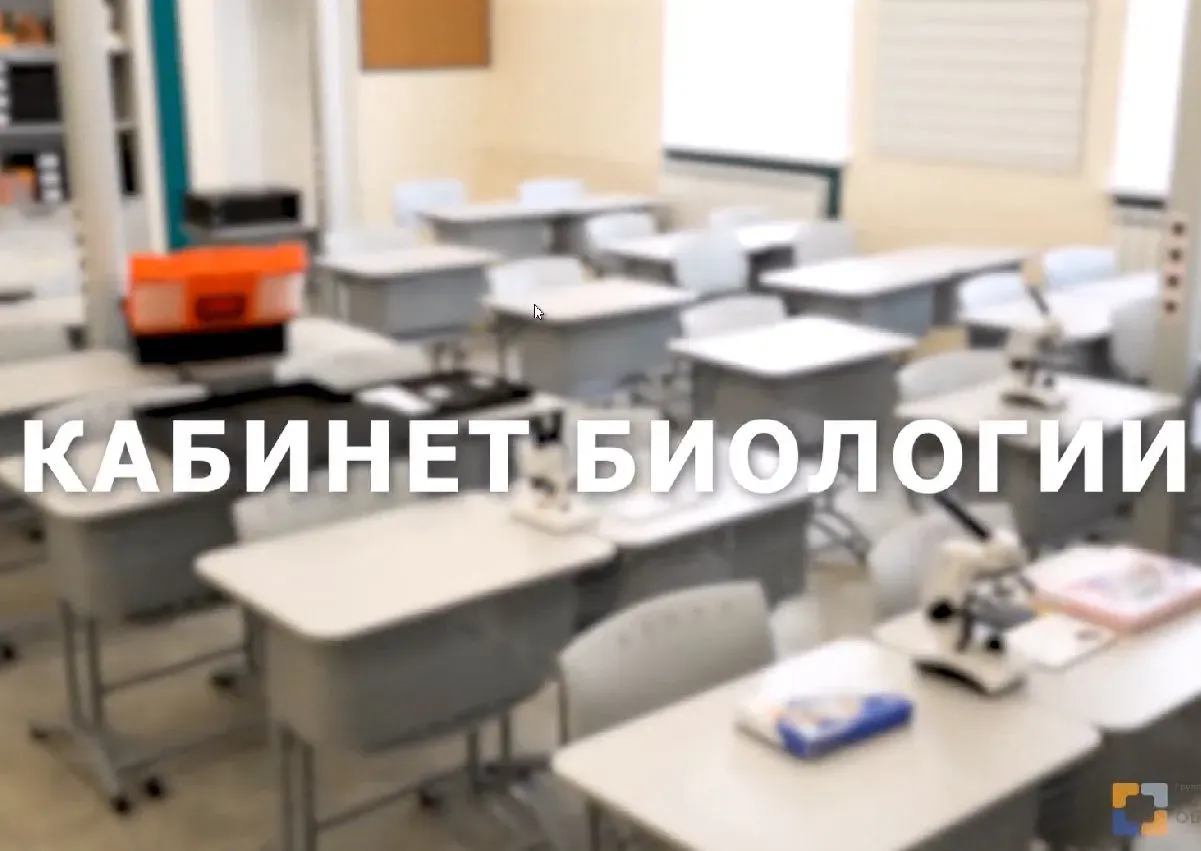 Посмотреть видео