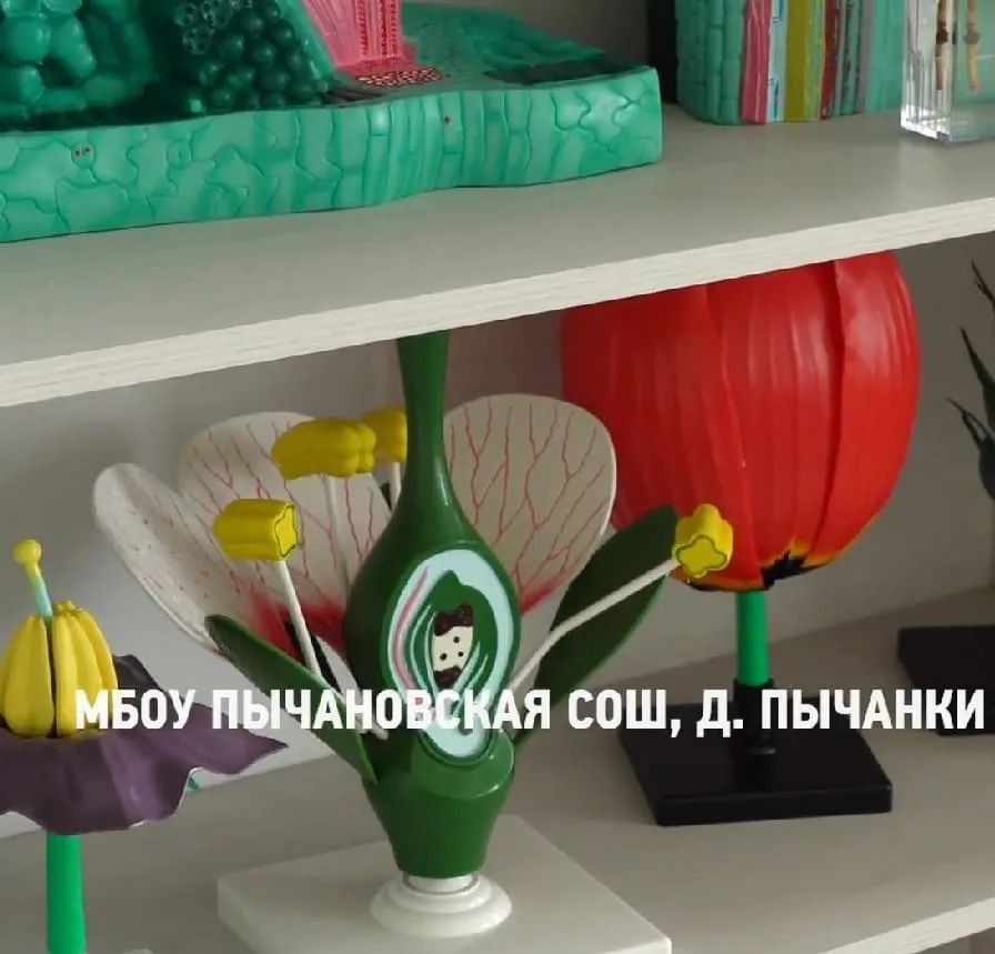 Посмотреть видео