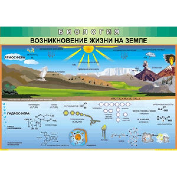 Таблица Возникновение жизни на земле 70х100 винил