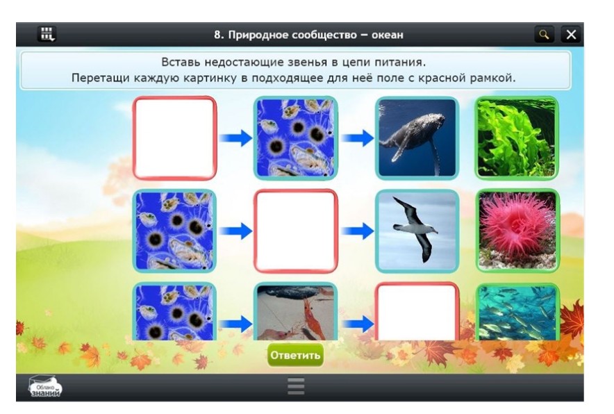 Электронные образовательные ресурсы по предмету Окружающий мир (2 класс)