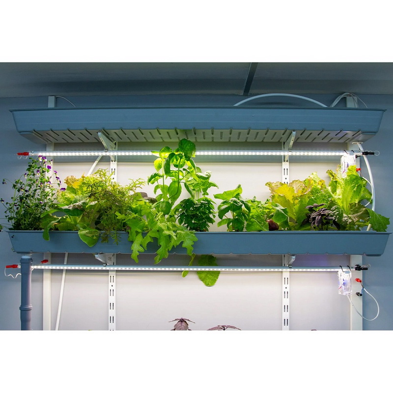 Гидропонная ферма