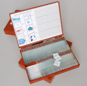 Комплект микропрепаратов Ботаника 1