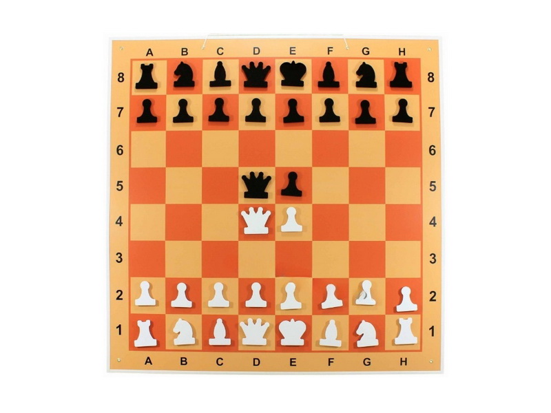 Демонстрационная шахматная доска с магнитными фигурами, 100х100 см