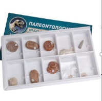 Коллекция образцов Палеонтологическая