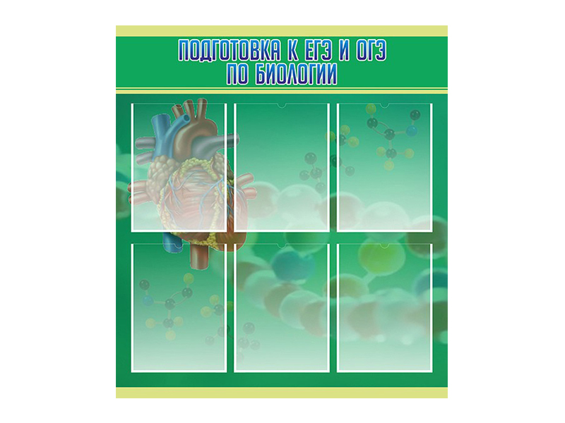 Стенд Подготовка к ЕГЭ и ОГЭ по биологии 150х90 см