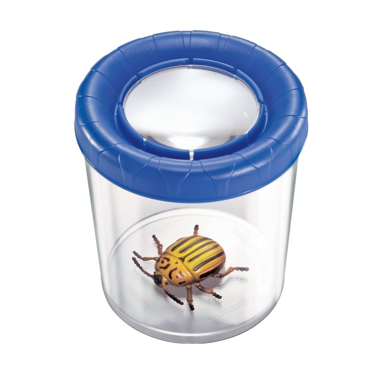 Коробка-банка для изучения насекомых с лупой