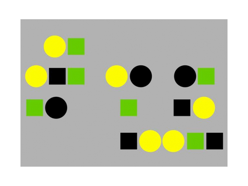 Модель-аппликация «Генеалогический метод» для школы