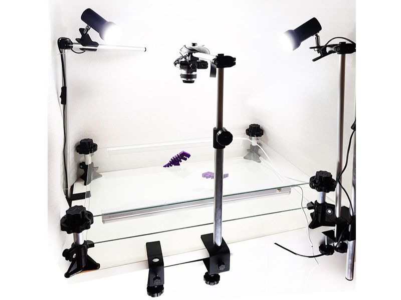 Мультстудия Стандарт