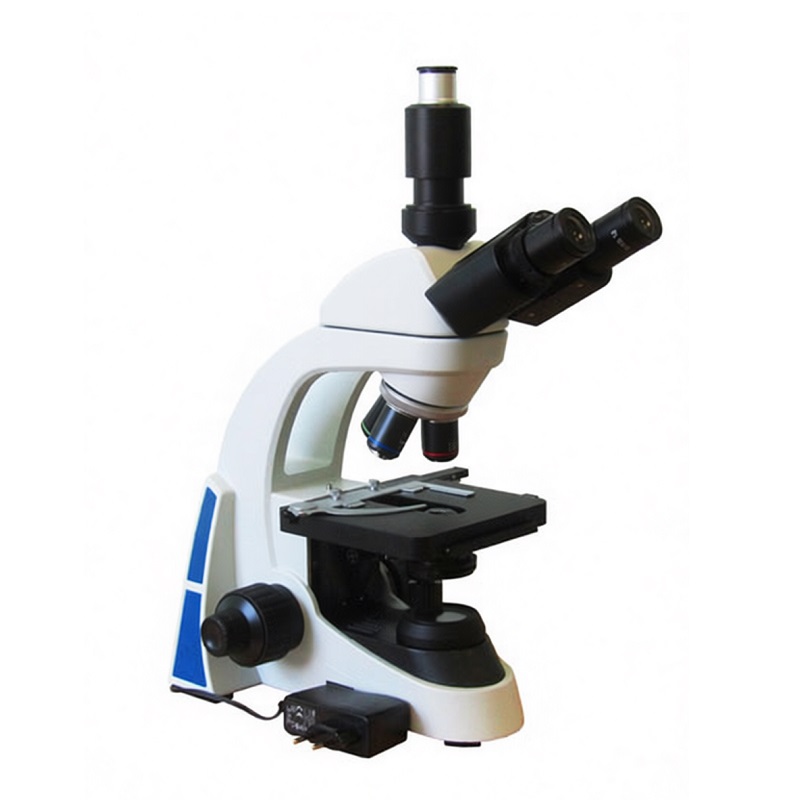 Демонстрационный биологический микроскоп 40–1000×