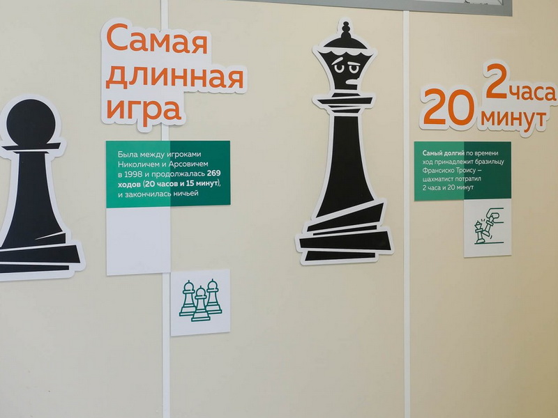 Готовое решение Шах и мат!