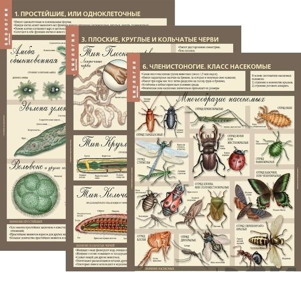 Комплект таблиц "Биология 7 класс Животные" (12 шт.)