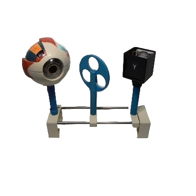 Модель "Зрение" (электрическая)