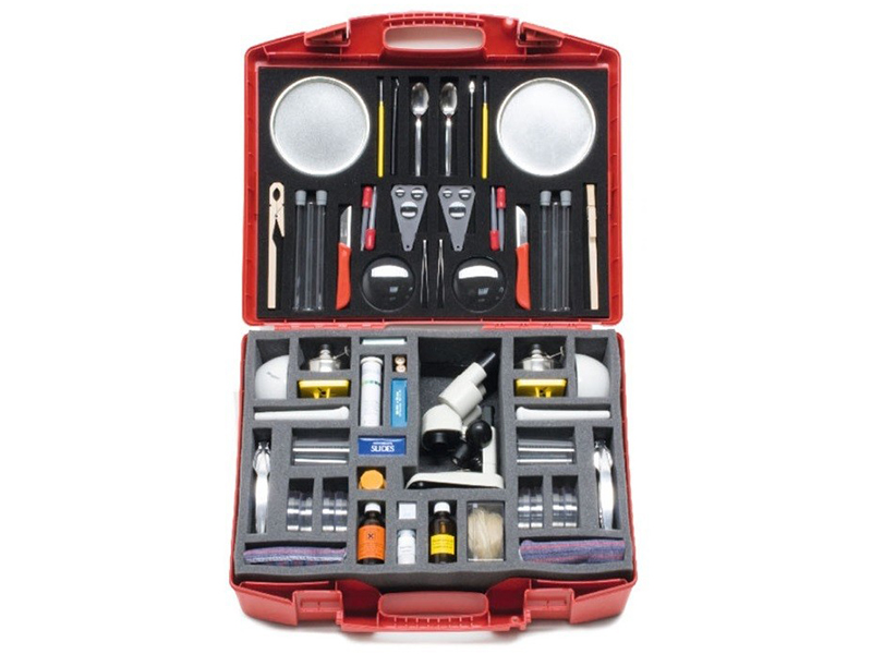 Комплект «Сельскохозяйственные культуры» Cornelsen — 2 группы