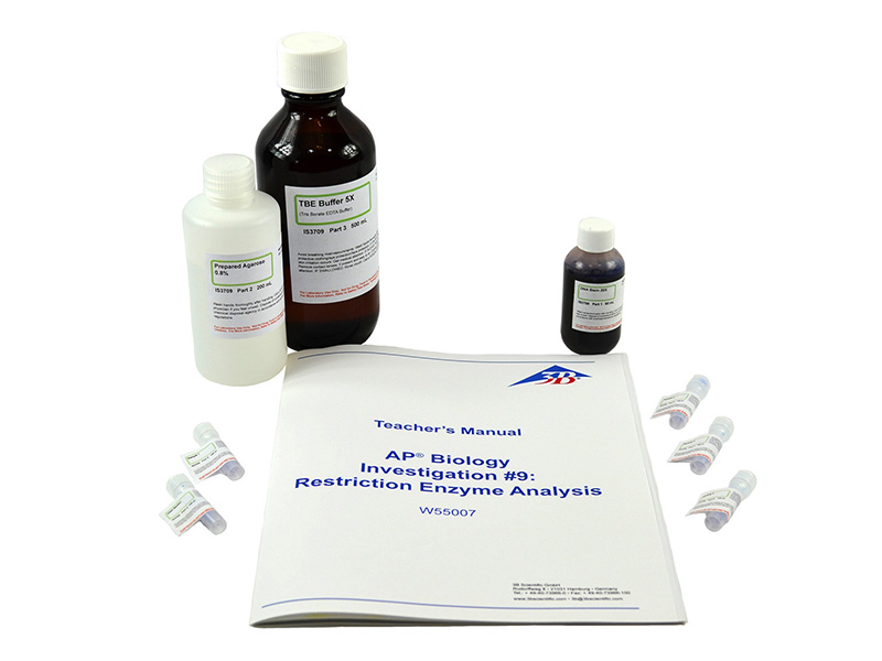 Лабораторный набор Биотехнология, ферментативный анализ ДНК