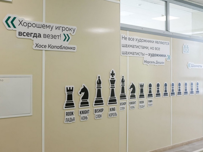 Готовое решение Шах и мат!