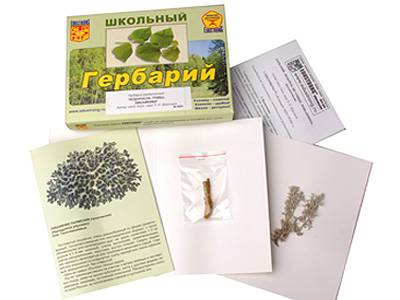 Гербарий «Водоросли. Грибы. Лишайники» — раздаточный, 9 листов