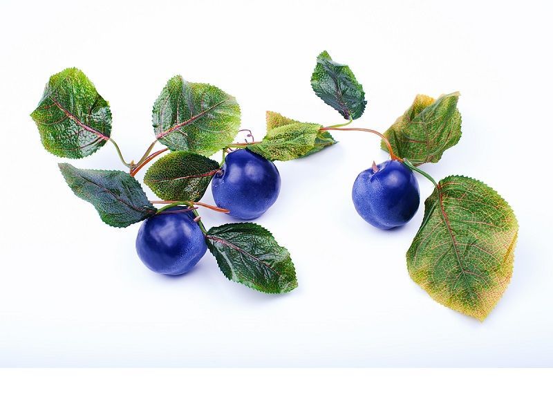 Ветка муляжная «Слива», натуральный цвет