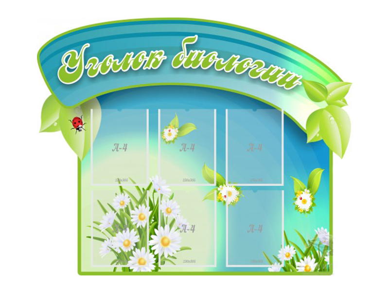 Резной стенд Уголок биологии