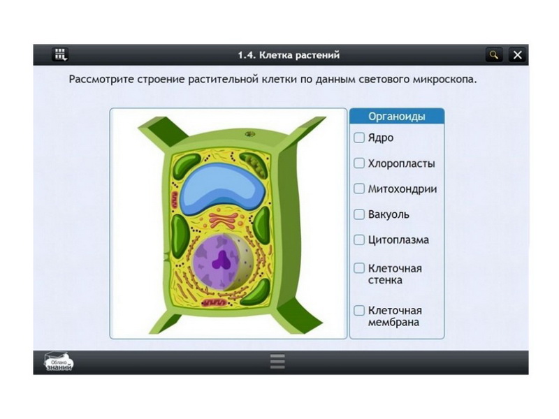Электронные образовательные ресурсы по предмету Биология (7 класс)