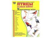 Демонстрационные картинки "Птицы разных широт"