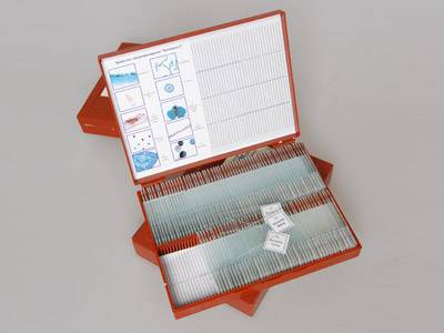 Комплект микропрепаратов Ботаника 1