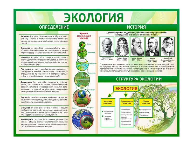 Стенд Экология 130х100 см