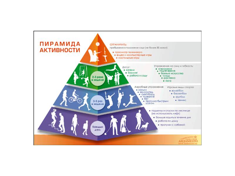 Стенд Пирамида физической активности