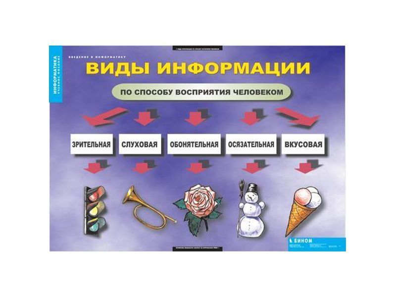 Таблицы "Введение в информатику"