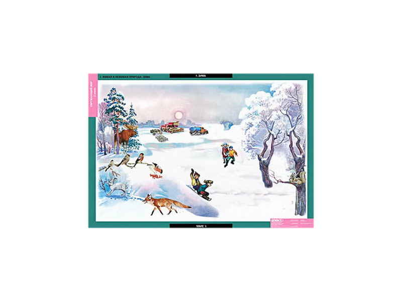 Комплект Таблицы демонстрационные "Окружающий мир", 1-4 кл.