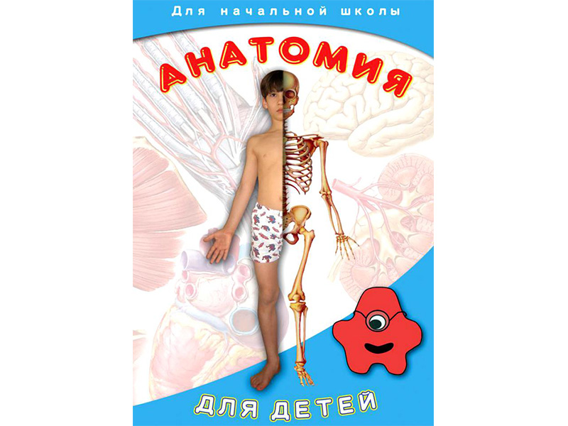 DVD-диск Анатомия для детей