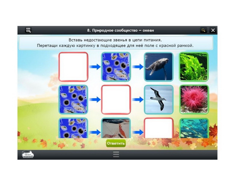 Электронные образовательные ресурсы по предмету Окружающий мир (1 класс)