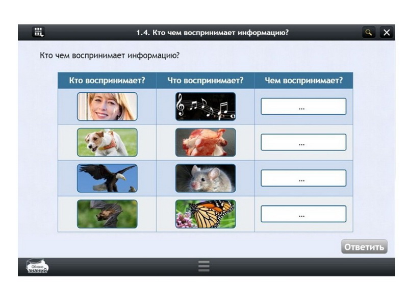 Электронные образовательные ресурсы по предмету Информатика (11 класс)