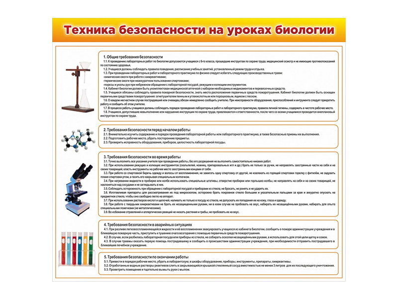 Стенд Техника безопасности на уроках биологии 100х90 см