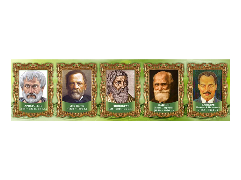 Стенд-лента Выдающиеся ученые биологи, часть 2