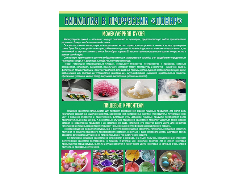 Стенд Биология в профессии Повар