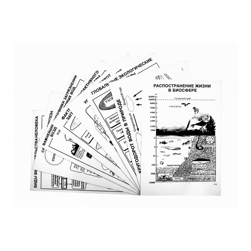 Комплект таблиц по экологии "Биосфера - глобальная экосистема. Вмешательство человека." А4