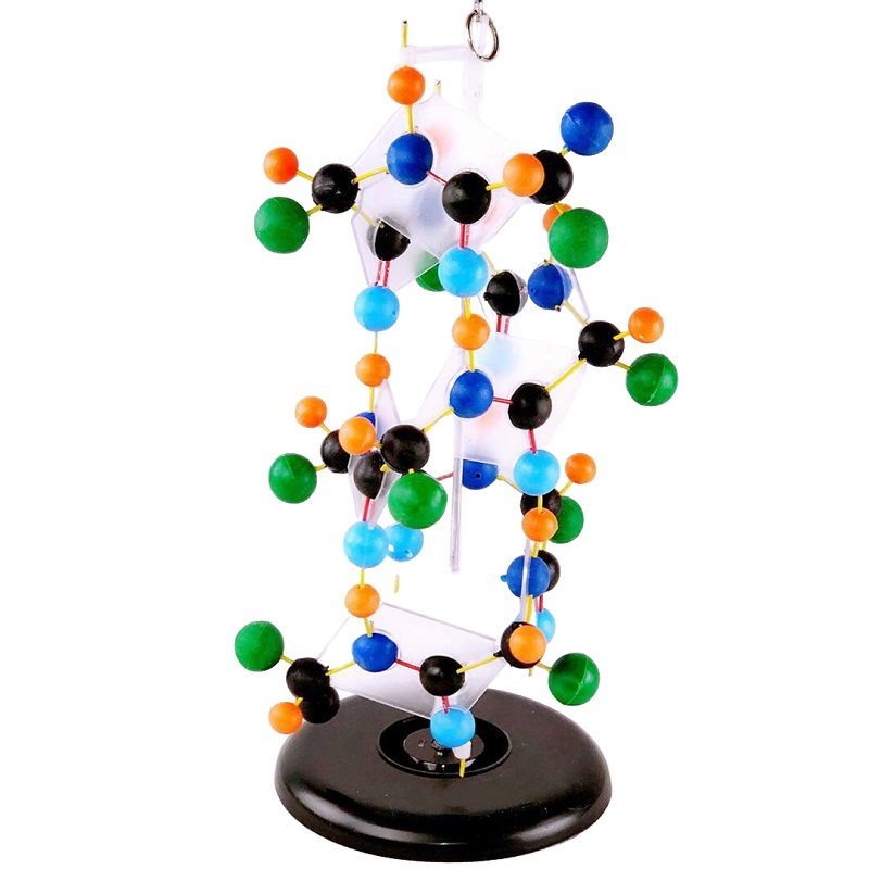 Модель "Структура белка"
