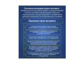 Стенд "ОСНОВОПОЛАГАЮЩИЕ ПРАВА ЧЕЛОВЕКА" 80х90 см