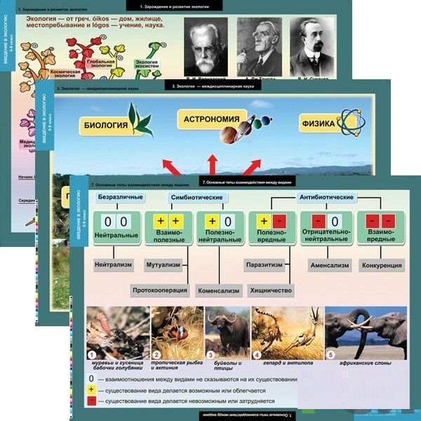 Комплект таблиц "Введение в экологию" (18 шт)