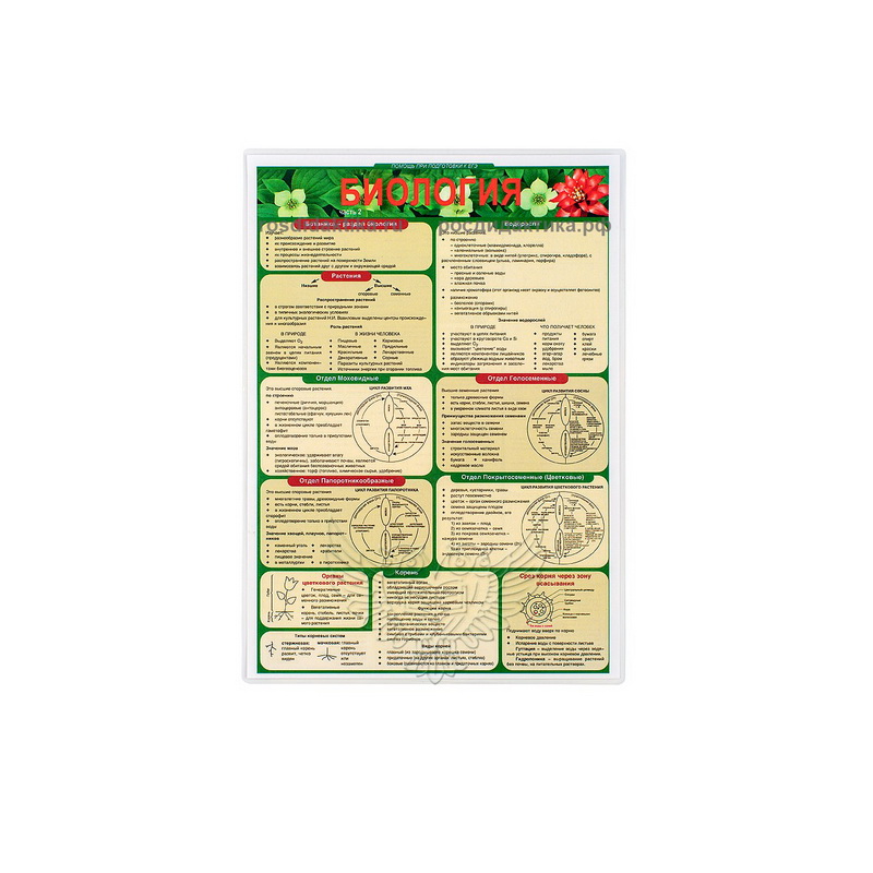 Комплект раздаточных таблиц - по биологии