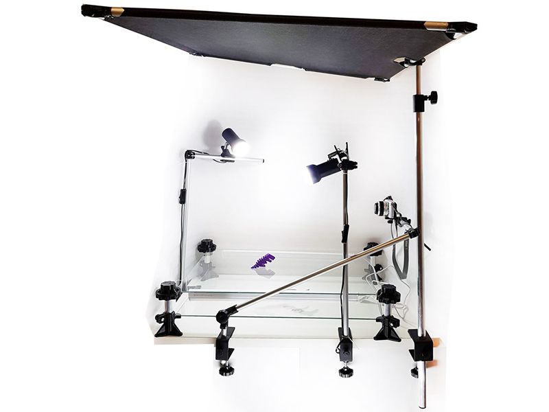 Мультстудия Эксперт