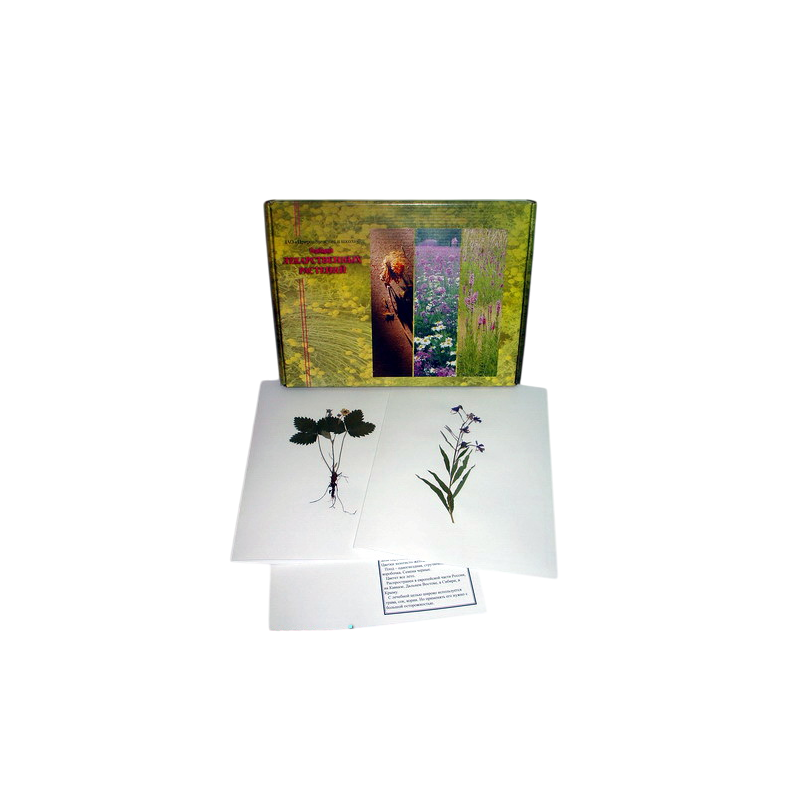 Гербарий "Лекарственные растения" (20 видов)