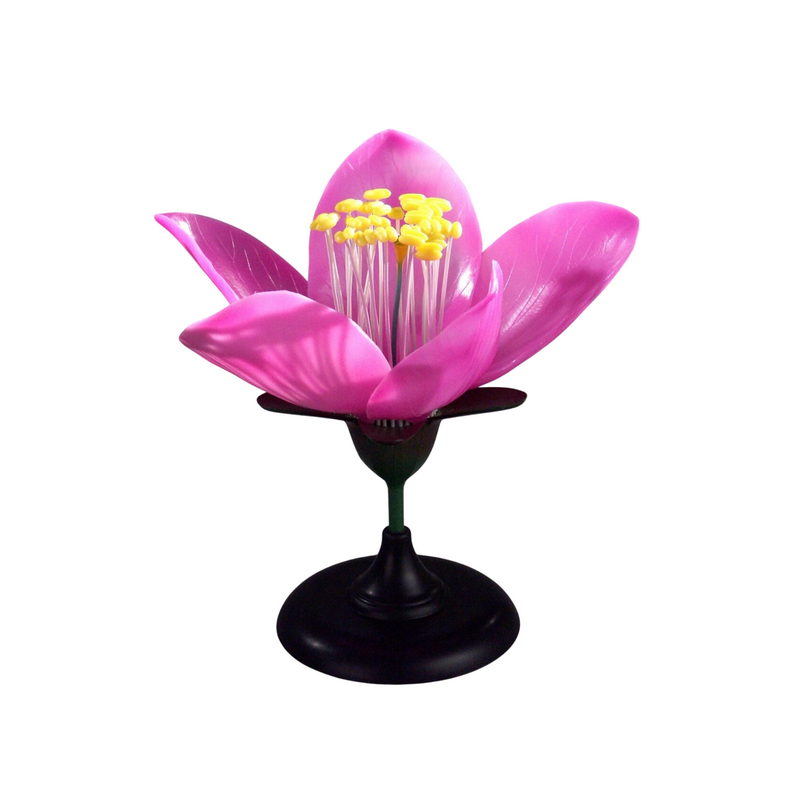 Модель "Цветок персика"