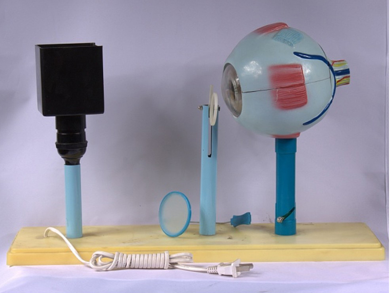 Прибор для демонстрации действия глаза (модель зрения)