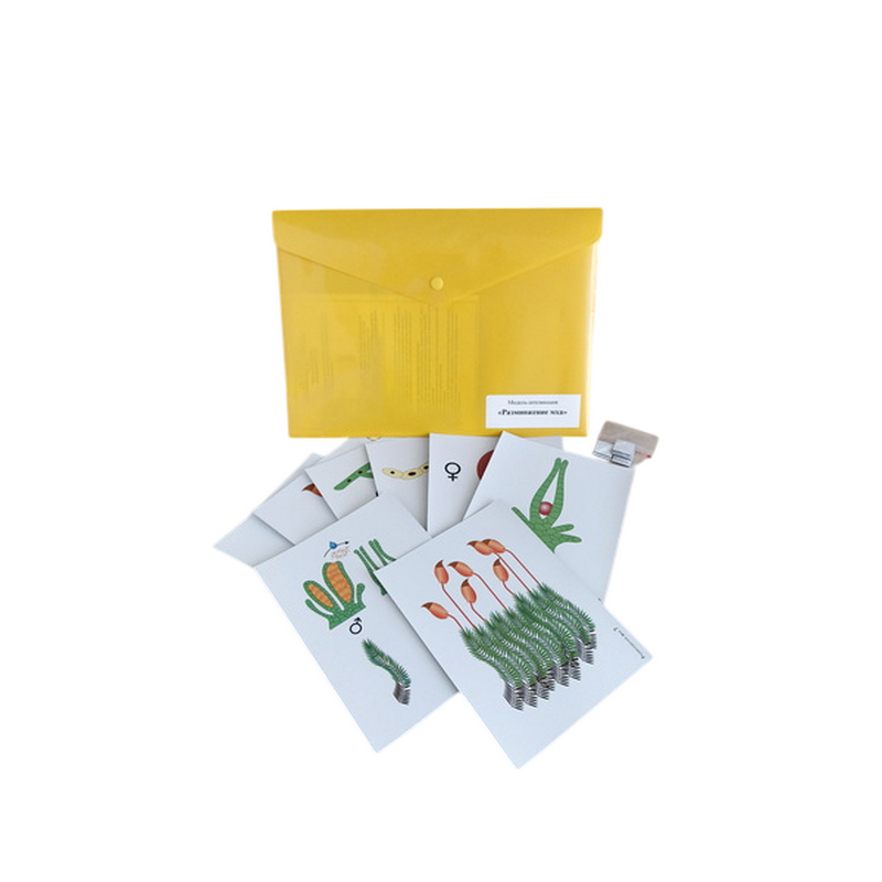 Комплект моделей-аппликаций демонстрационный (3 модели)