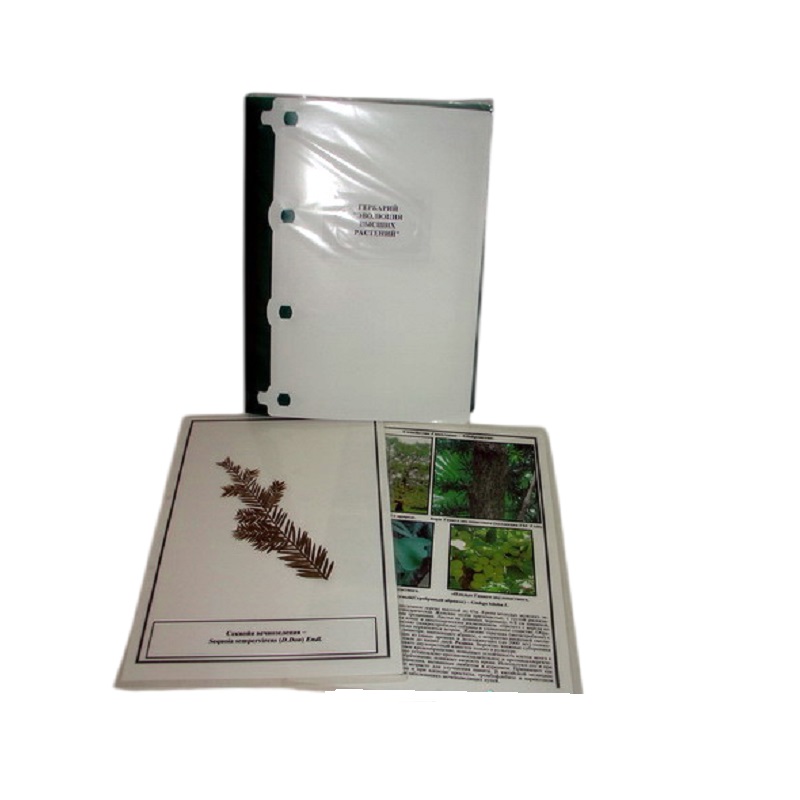 Гербарий «Эволюция высших растений», формат A4 (лам.)