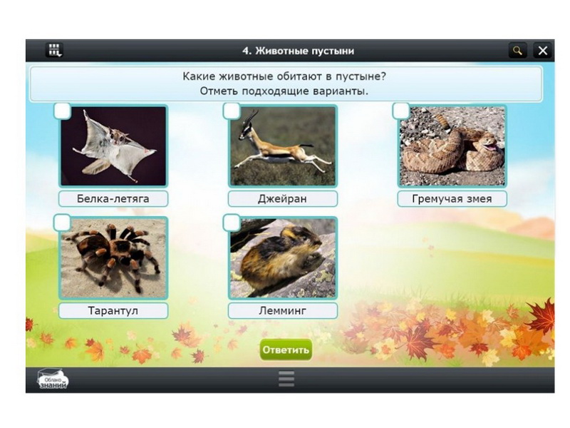 Электронные образовательные ресурсы по предмету Окружающий мир (2 класс)