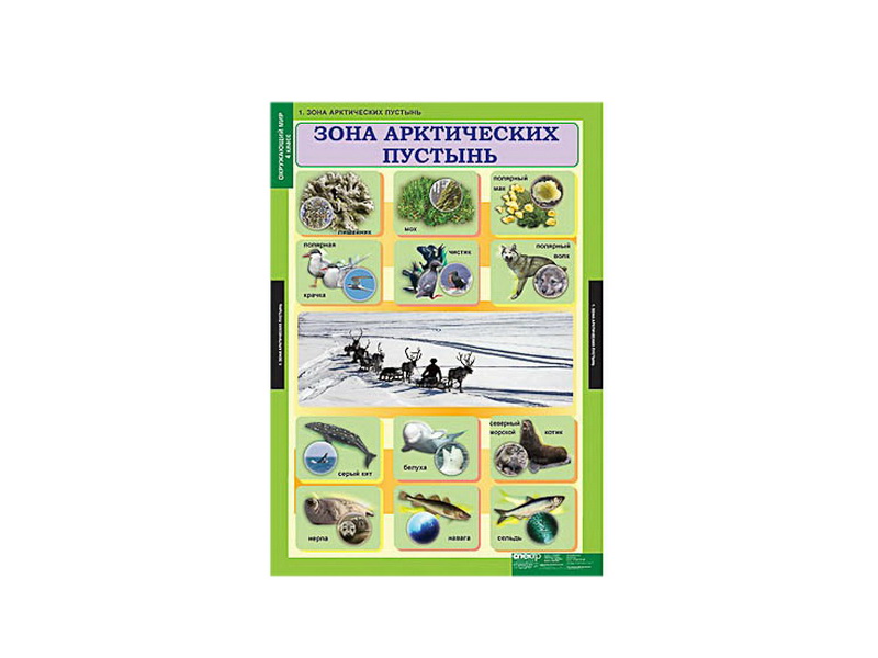 Комплект Таблицы демонстрационные "Окружающий мир", 1-4 кл.