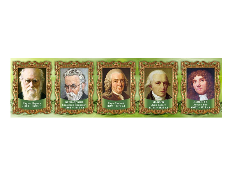 Стенд-лента Выдающиеся ученые биологи, часть 1